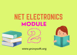 NET ELECTRONICS MODULE 2